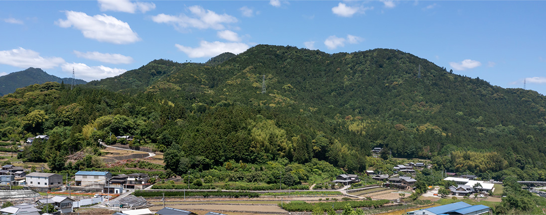 神山町の山